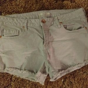 Refuge Shorts Size 12